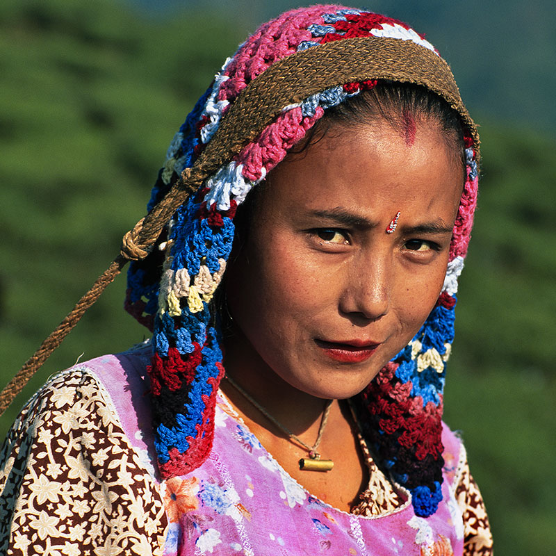 Portrait pendant la cueillette du thé - Darjeeling (Inde)