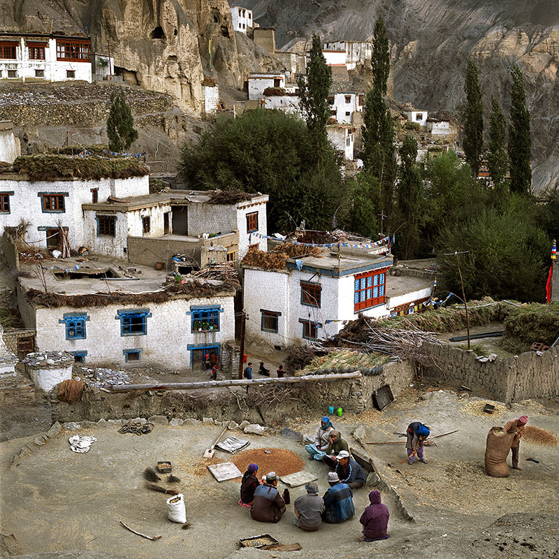 Fin d’une journée de battage de l’orge - Lamayuru, Ladakh (Inde)