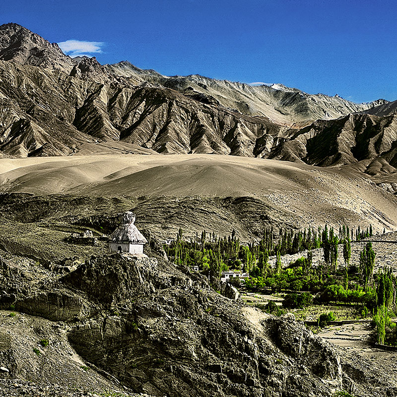 Oasis d'Alchi - Ladakh (Inde)