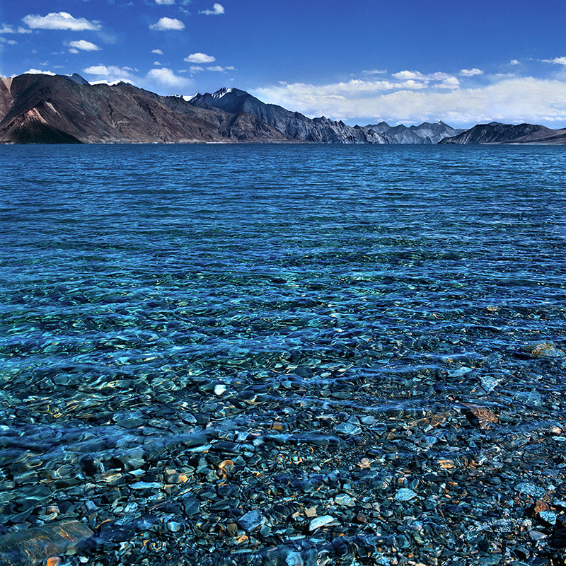 L'eau transparente du Pangong Lake, 4267 m - Ladakh (Inde)