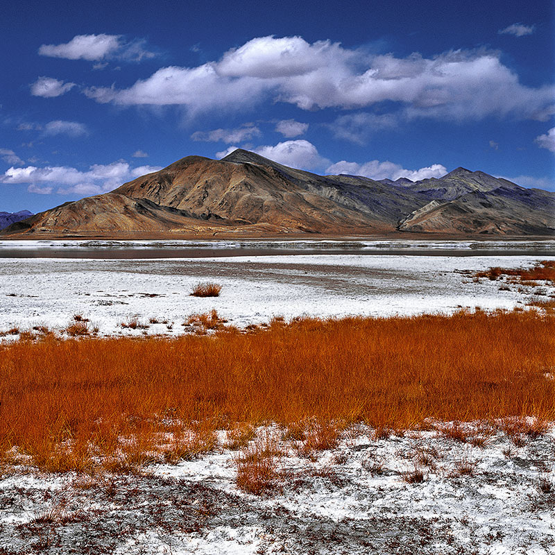 Le Tsokar, lac salé, 4530 m - Ladakh (Inde)