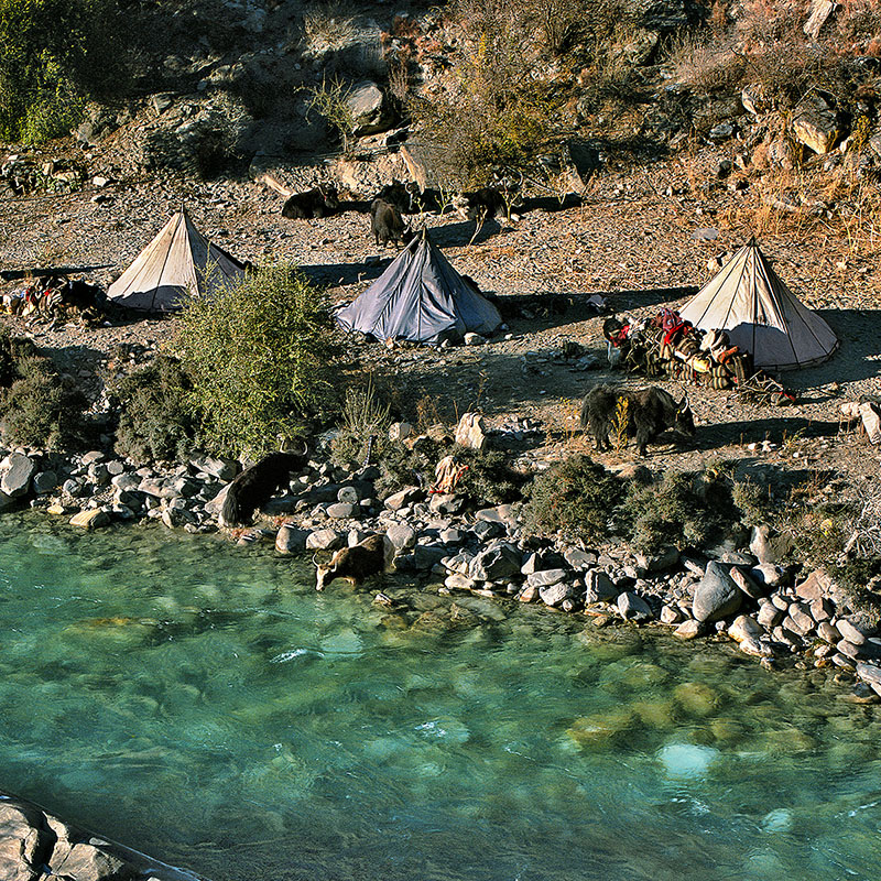 Camp nomade au bord de la rivière - Dolpo (Nepal)