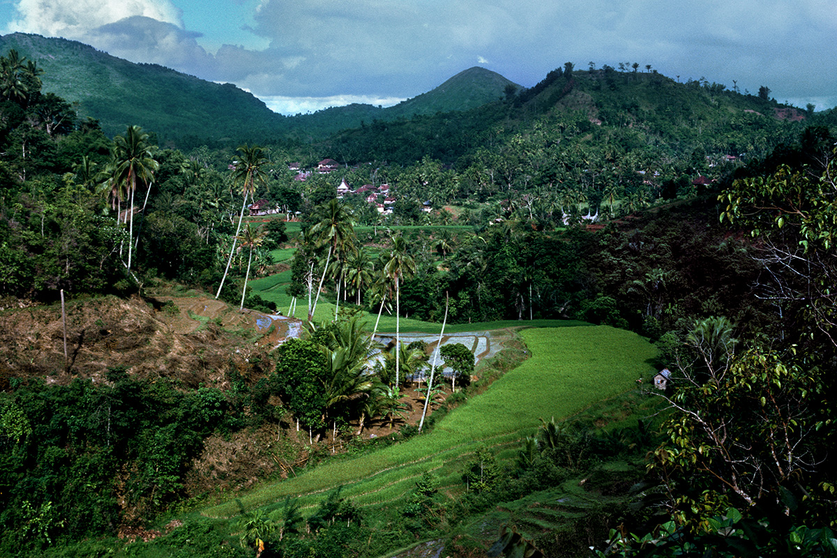 Village de Sulit Air, au coeur du pays Minangkabo - Sumatra - Indonésie, 1987